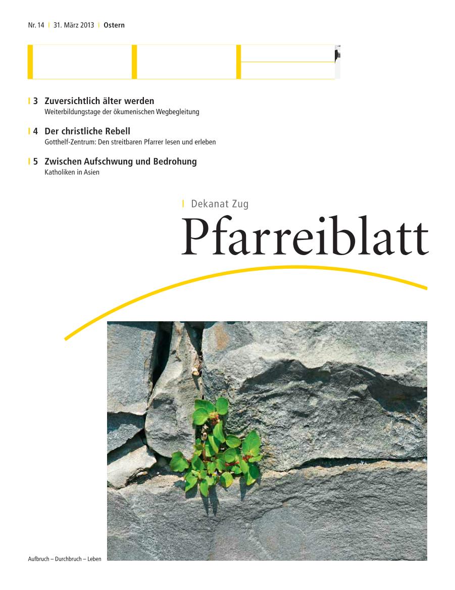 Cover Pfarreiblatt Zug, Nr. 14 2013